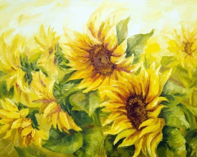 Field of Sunflowers