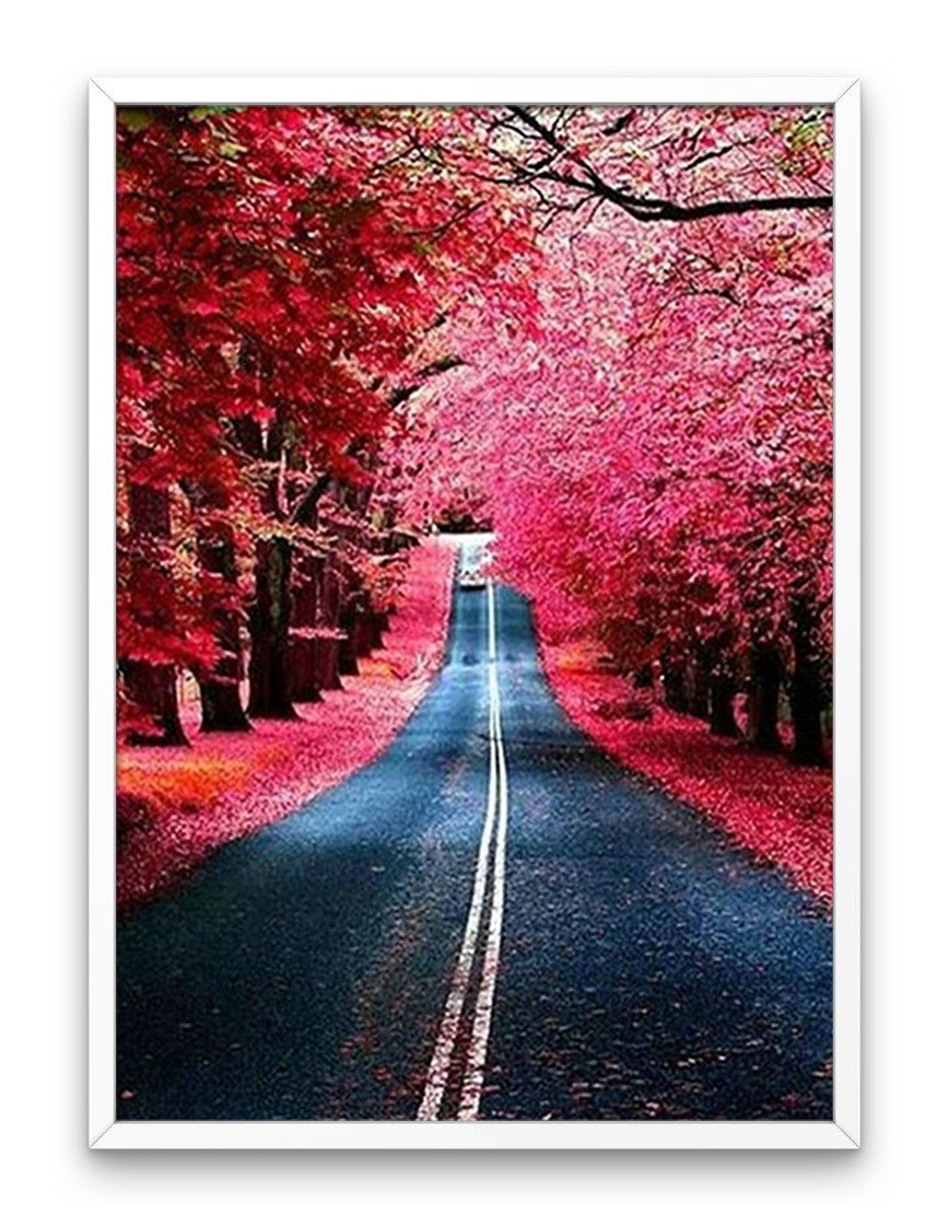 Beautiful Road - Diamond Paintig Kit