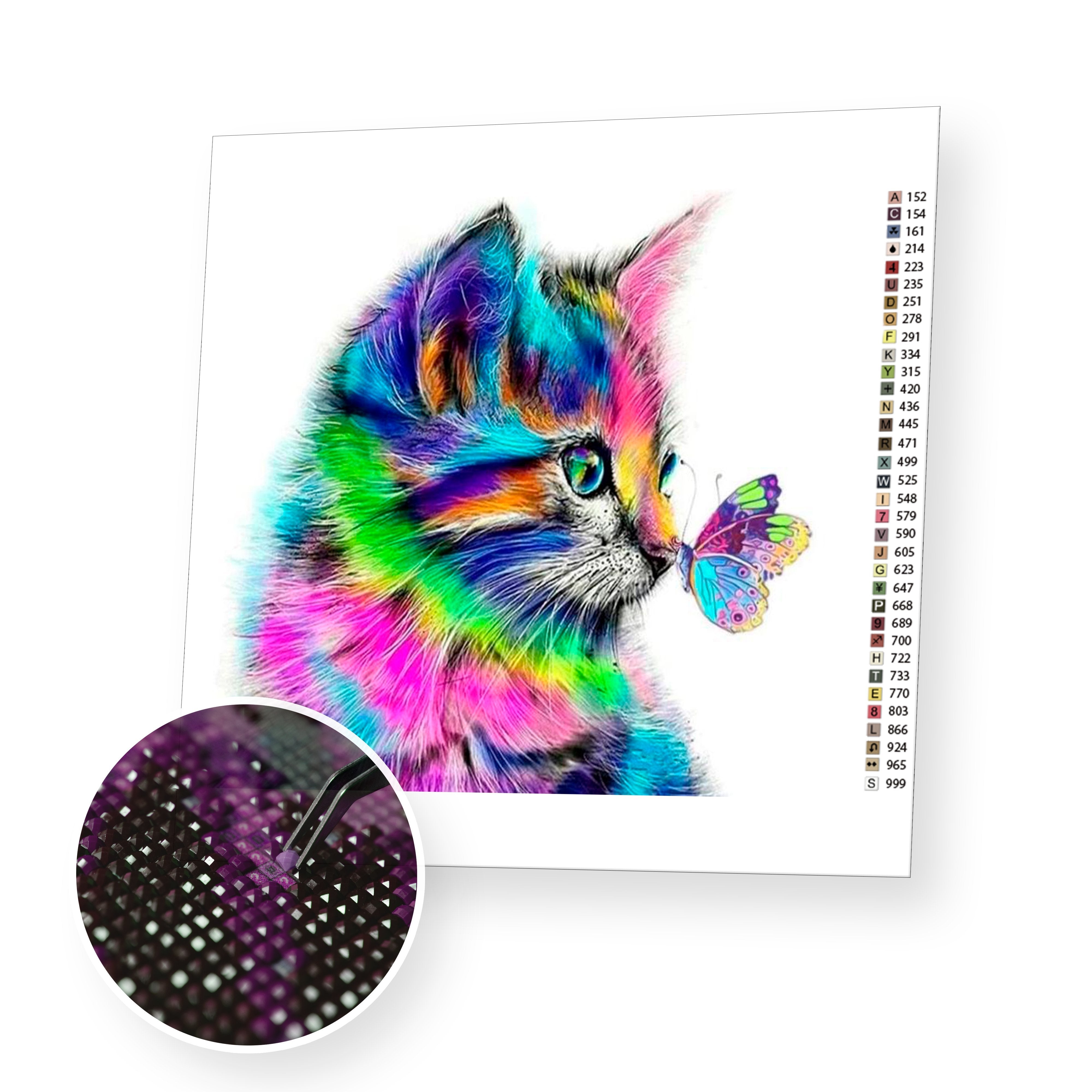 Colorful Cat & Butterfly - Diamond Painting Kit – bemyhobbystore