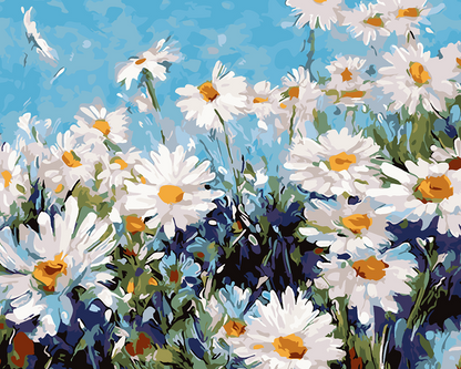 Camomile Field