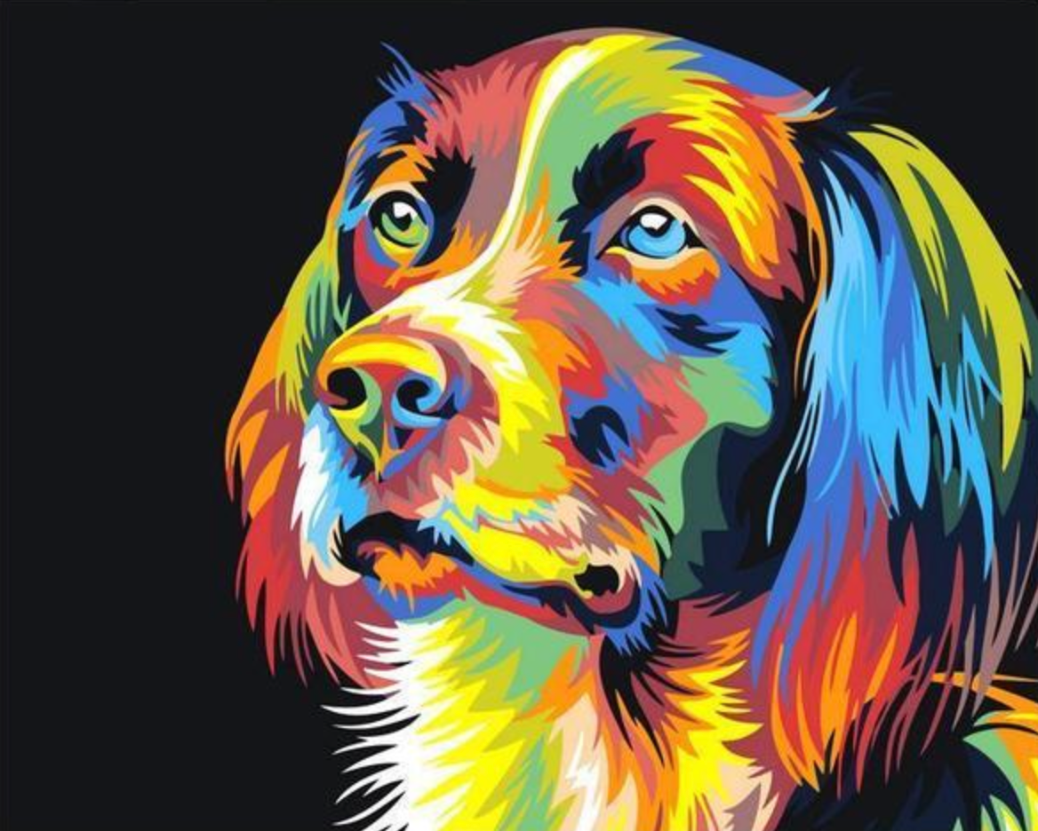 Colorful Dog