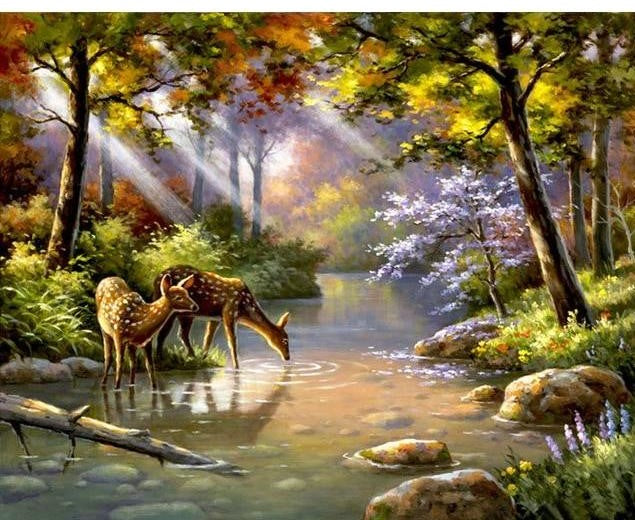 Deer In The Forest