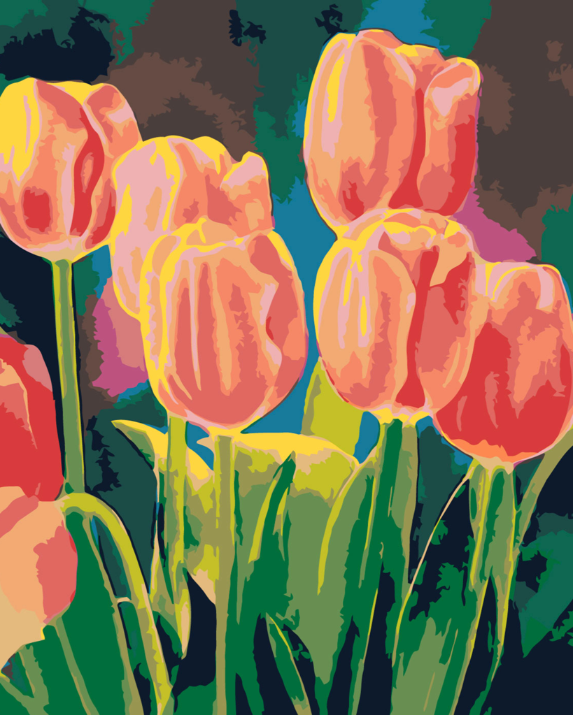 Tulips