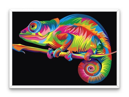 Colorful chameleon