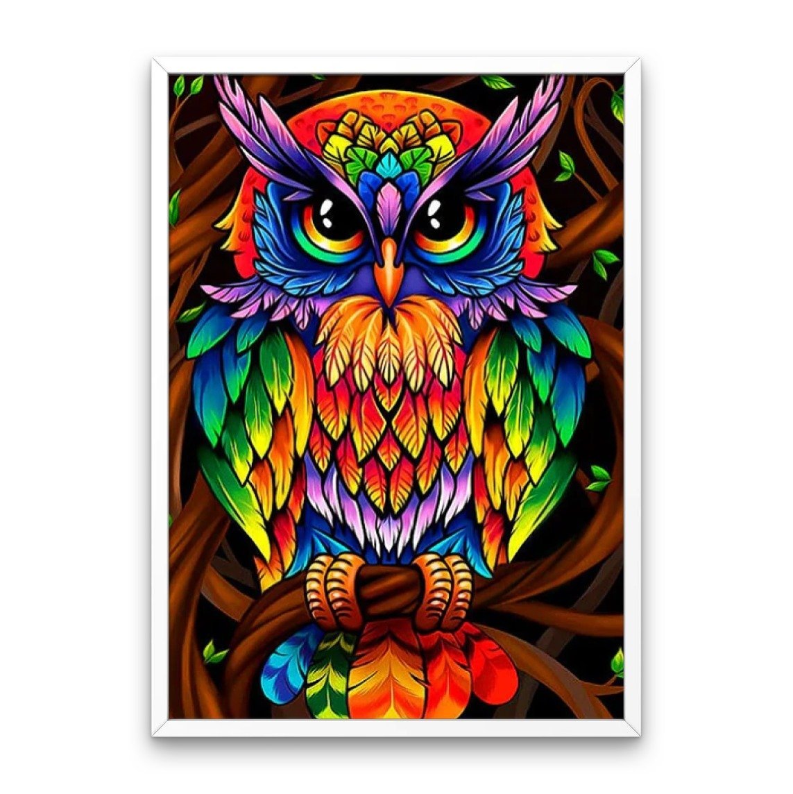 Colorful Owl