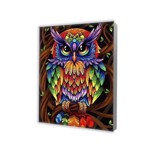 Colorful Owl - Paint by Numbers
