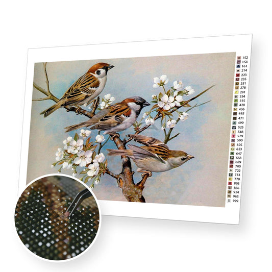 Cute Birds - Diamond Paintig Kit