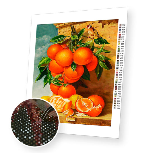 Oranges - Diamond Painting Kit