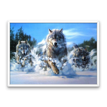 Wolves in the Snow